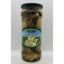 Whole Mushrooms Oyster 580mL.