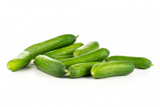 Seedless Cucumber