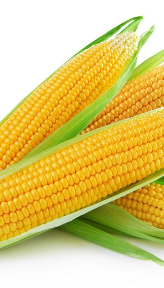 Corn 2 For