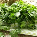 Cilantro (pcs)