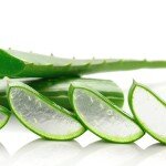 Aloe Vera (pcs)