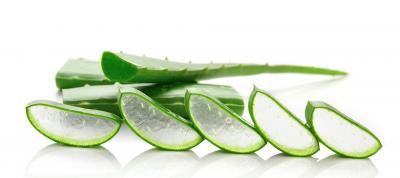 Aloe Vera (pcs)