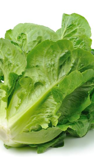 Romaine Lettuce (pcs)