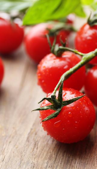 Stem Tomato (lb.)