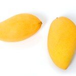 Yellow Mango 2 for