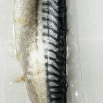 Haifa Malosol Mackerel (lb.)