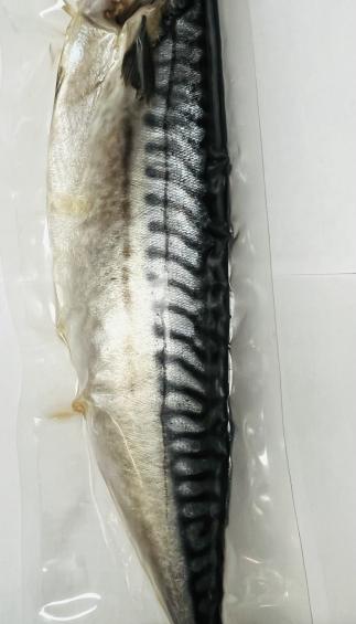 Haifa Malosol Mackerel (lb.)