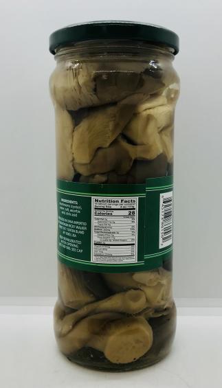 Whole Mushrooms Oyster 580mL.