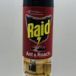 Raid Ant & Roach Fragrance Free 496g