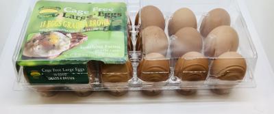 Sunshine Cage Free 18 Eggs Large