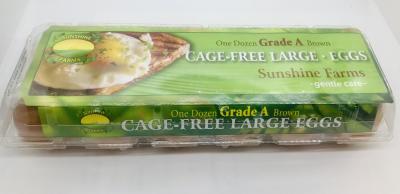 Sunshine Cage Free 12 Eggs Large