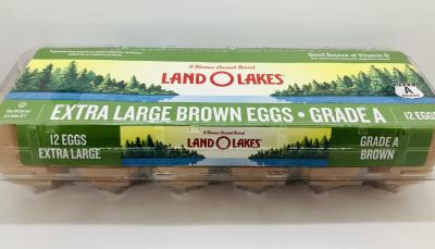 Land O Lakes 12 Eggs extra large