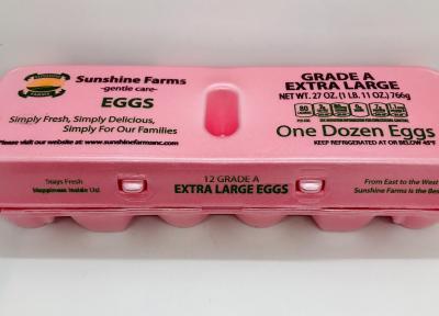 Sunshine White 12 Eggs extra large