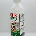 Biolife kefir Bioactive